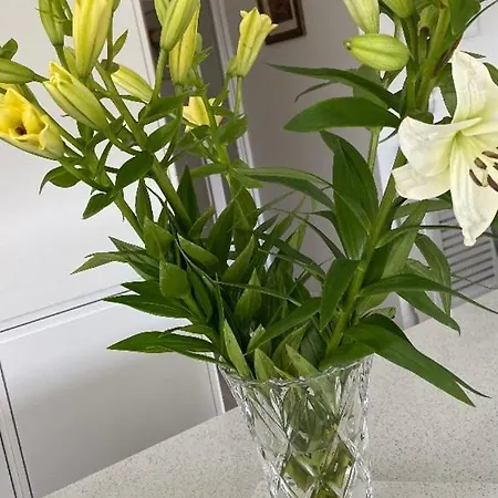 Coastal Gem 10 Mins From Dublin Airport