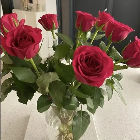 Coastal Gem 10 Mins From Dublin Airport Апартаменты *