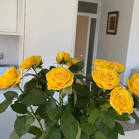 Coastal Gem 10 Mins From Dublin Airport * Донабейт