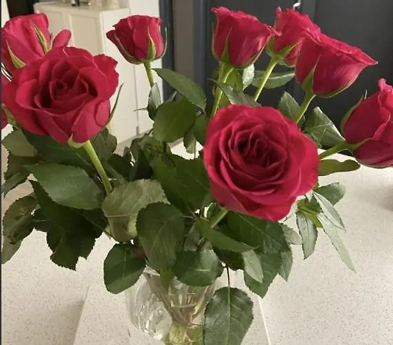 Coastal Gem 10 Mins From Dublin Airport Appartamento *